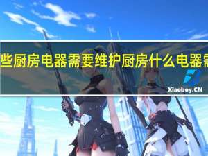 哪些厨房电器需要维护 厨房什么电器需要维护