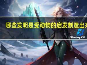 哪些发明是受动物的启发制造出来的