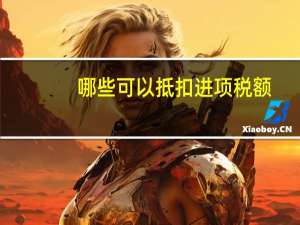 哪些可以抵扣进项税额