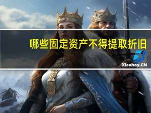 哪些固定资产不得提取折旧