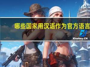 哪些国家用汉语作为官方语言