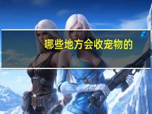 哪些地方会收宠物的