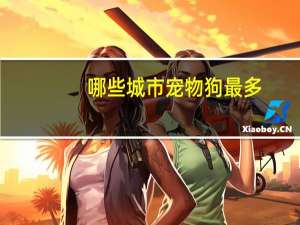 哪些城市宠物狗最多