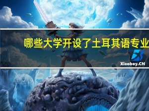 哪些大学开设了土耳其语专业