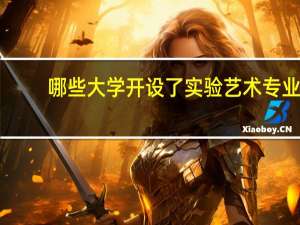 哪些大学开设了实验艺术专业