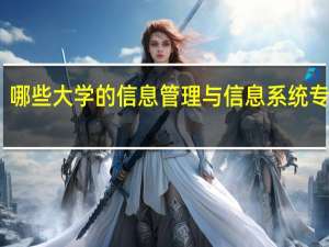 哪些大学的信息管理与信息系统专业好