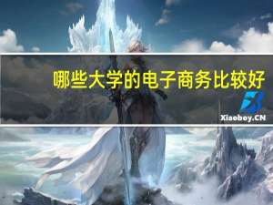 哪些大学的电子商务比较好
