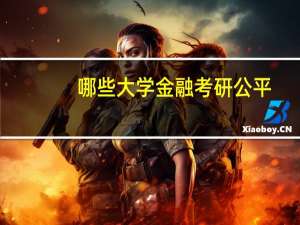 哪些大学金融考研公平