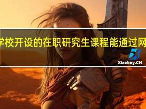 哪些学校开设的在职研究生课程能通过网络进行学习
