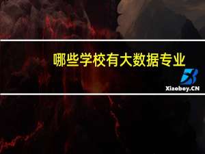 哪些学校有大数据专业