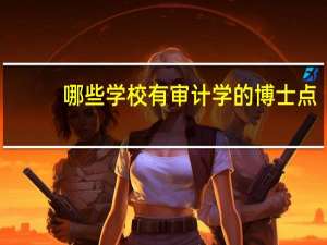 哪些学校有审计学的博士点