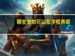 哪些宠物可以在学校养呢