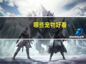哪些宠物好看