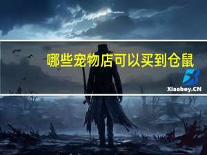 哪些宠物店可以买到仓鼠