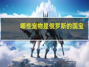 哪些宠物是俄罗斯的国宝
