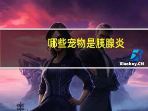 哪些宠物是胰腺炎