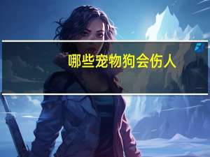 哪些宠物狗会伤人