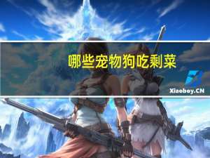 哪些宠物狗吃剩菜