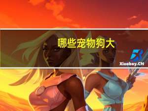 哪些宠物狗大