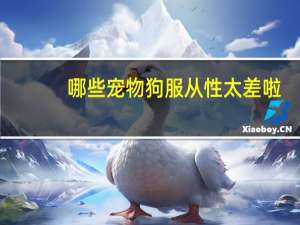 哪些宠物狗服从性太差啦