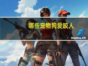 哪些宠物狗爱咬人