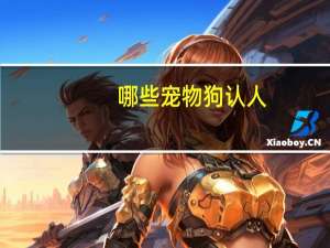 哪些宠物狗认人