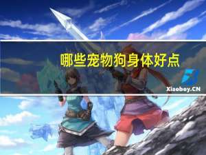 哪些宠物狗身体好点