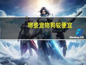 哪些宠物狗较便宜