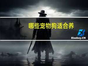 哪些宠物狗适合养