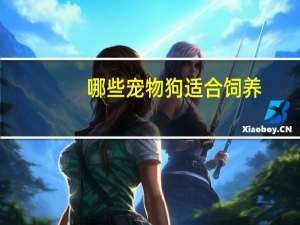 哪些宠物狗适合饲养