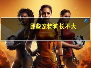 哪些宠物狗长不大