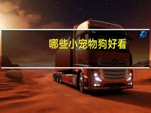 哪些小宠物狗好看