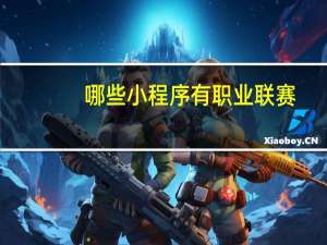 哪些小程序有职业联赛