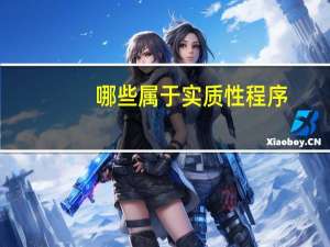 哪些属于实质性程序（什么是实质性程序 它包括哪些类型）
