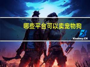 哪些平台可以卖宠物狗