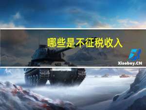 哪些是不征税收入