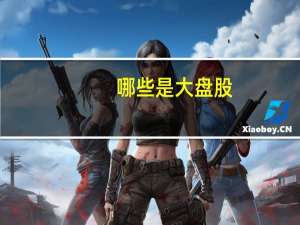 哪些是大盘股