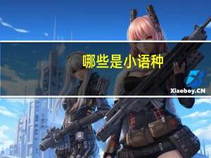 哪些是小语种