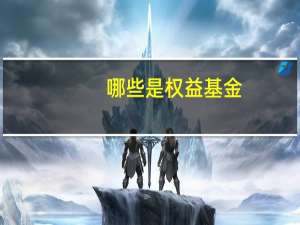 哪些是权益基金