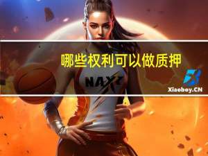 哪些权利可以做质押