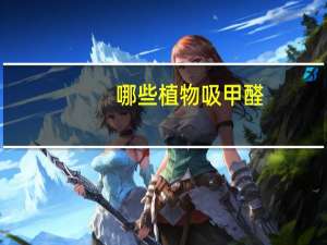 哪些植物吸甲醛