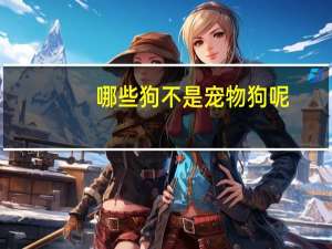 哪些狗不是宠物狗呢