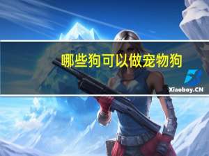 哪些狗可以做宠物狗