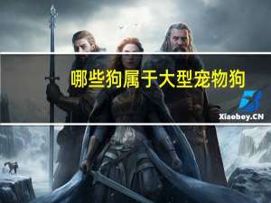 哪些狗属于大型宠物狗