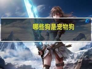 哪些狗是宠物狗