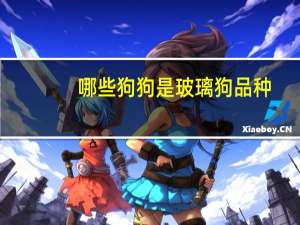 哪些狗狗是玻璃狗品种