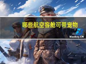 哪些航空客舱可带宠物