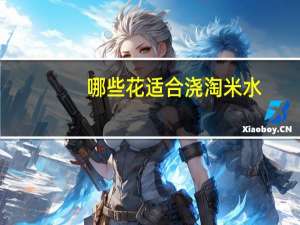 哪些花适合浇淘米水