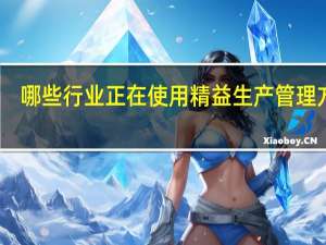哪些行业正在使用精益生产管理方法
