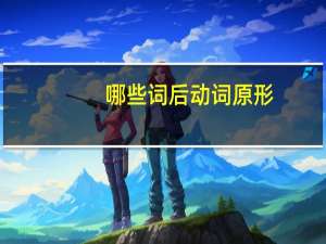 哪些词后 动词原形